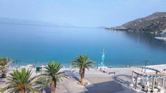 Amazing By The Apartament *